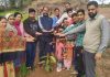 संत निरंकारी मिशन द्वारा राजौरी व पुंछ में किया गया पौधारोपण
