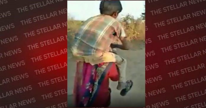 pregnant-lady-in mp