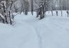 Continious Snowfall In Kargil Ladakh Since Morning, Opening of Strategic NH-1D Delayed due to fresh snowfall