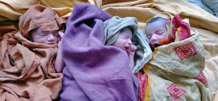 bachwara-3-new-born