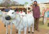 27th “Hunar Haat” inaugurated at Lal Parade Ground, Bhopal
