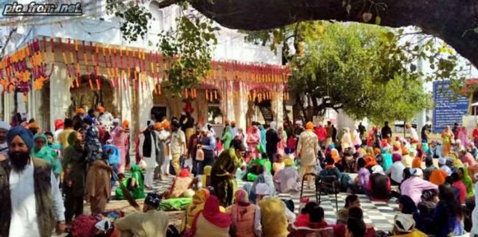 maidi-mela