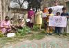 पखवाड़े के पहले दिन आंगनवाड़ी केन्द्रों में लगाए गए पोषण से भरपूर और मैडीसिनल पौधे
