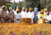 ਫਿਰੋਜਪੁਰ: ਸ਼ਹੀਦਾਂ ਦੀਆਂ ਕੁਰਬਾਨੀਆਂ ਸਦਕਾ ਹੀ ਅਸੀਂ ਮਾਣ ਰਹੇ ਹਾਂ ਆਜ਼ਾਦ ਫਿਜ਼ਾ ਦਾ ਆਨੰਦ: ਰੰਧਾਵਾ