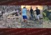 सलेरन के दलदल में फंसी 3 गायों को नौजवानों ने कड़ी मशक्कत से निकाला, करवाया जा रहा इलाज
