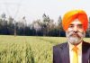 ਮੰਡੀਆਂ ਵਿੱਚ ਕਿਸਾਨ ਦੀ ਮਿਹਨਤ ਦਾ ਮਿਲੇ ਪੂਰਾ ਮੁੱਲ ਕਿਸਾਨ ਨੂੰ ਹੋਣਾ ਪਵੇਗਾ ਜਾਗਰੁਕ: ਡਾ. ਅਮਰੀਕ ਸਿੰਘ