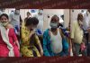 वेरका मिल्क प्लांट अज्जोवाल में जीएम सहित 145 लाभार्थियों को लगी कोविड वैक्सीन की पहली डोज