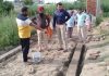 डा. जतिंदर कुमार ने गांव सलेमपुर में चल रहे विकास कार्यों का लिया जायजा