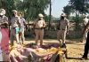 गांव टूटो मजारा में खेतों में हवेली में सो रहे बुजुर्ग की बेहरमी के साथ हत्या, जांच शुरू