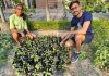गरिमा और हार्दिक ने निशुल्क बांटने हेतु तुलसी के पौधे किए तैयार, मां रितु से मिली प्रेरणा
