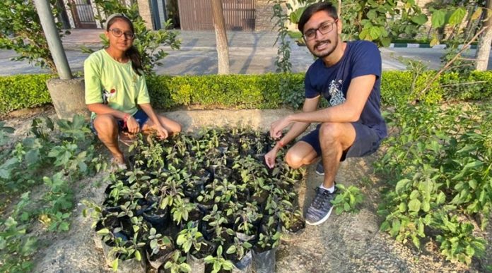 hardik-garima-tulsi-plant-free-distribution-hoshiarpur-punjab