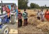 नीति तलवाड ने किसान व मजदूर भाइयों के साथ मनाया अंतरराष्ट्रीय मजदूर दिवस