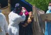Scores of Nomads get screened for Covid-19 at Tral, Pulwama