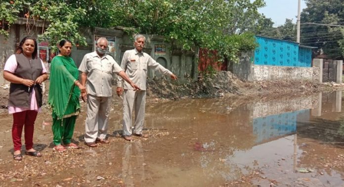bali-at-model-town-hoshiarpur-raised-public-problem