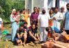 अस्थियों को घर में दबा कर मां की याद में लगाया परिवार ने पौधा