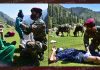 INDIAN ARMY ORGANISES MOBILE MEDICAL & VETERINARY CAMP FOR GUJJARS AND BAKARWALS AT KANDI, RAJOURI
