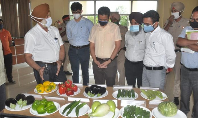 kartarpur-jalandhar-agriculture-accilance-center-punjab