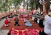 श्री शिव मंदिर जेजों की बावली भवानी नगर में मनाया अंतरराष्ट्रीय योग दिवस