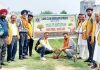लायसं क्लब होशियारपुर प्रिंस ने की पौधे लगाने की शुरुआत