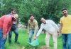 पंजाब के वित्त विभाग के मुलाजिमों ने लगाए पौधे