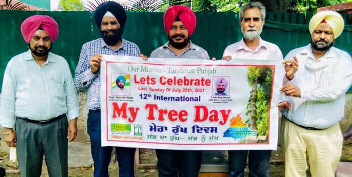 trees news