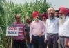 ਗੰਨਾ ਕਾਸਤਕਾਰਾਂ ਦੀ ਪ੍ਰਤੀ ਹੈਕਟੇਅਰ ਪੈਦਾਵਾਰ ਵਧਾ ਕੇ ਆਮਦਨ ਵਿੱਚ ਵਾਧਾ ਕਰਨ ਲਈ ਉਪਰਾਲੇ ਕੀਤੇ ਜਾ ਰਹੇ ਹਨ: ਕੇਨ ਕਮਿਸ਼ਨਰ