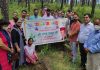 नगर परिषद हमीरपुर और भाजपा मण्डल ने पौधरोपण कर मनाया नरेंद्र ठाकुर का जन्मदिन