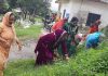 सासन पंचायत में महिलाओं ने चलाया सफाई अभियान