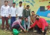 प्रिं. अरोड़ा ने शेरगढ़ स्कूल में मनाया वन महोत्सव, बताया पेड़ों का महत्व