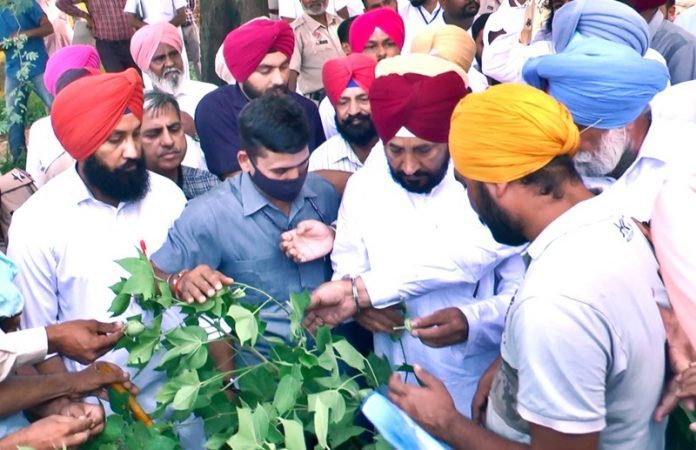 CM TAKES WHIRLWIND
