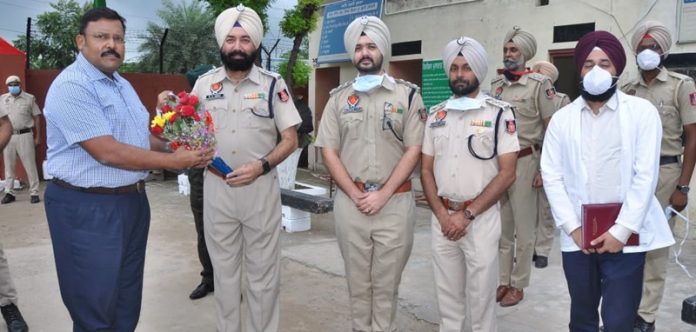 dgp