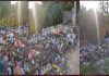 HOSHIARPUR MAYOR ORDERS LOOKING USELESS AS GARBAGE MAKING CITY A SMELLING HELL