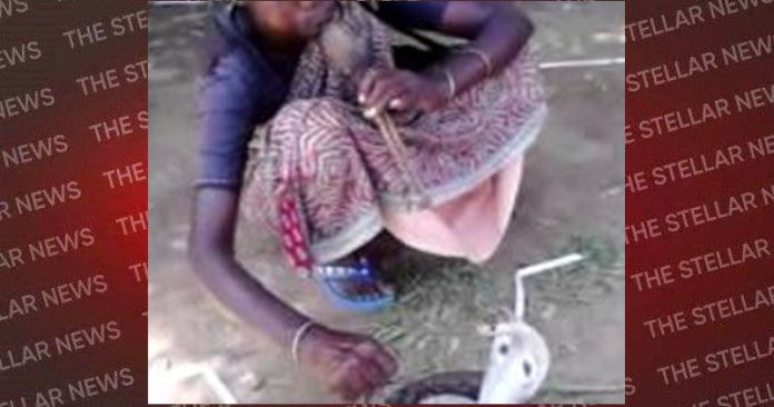snake charmer