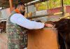 माता-पिता की सेवा के समान है गौ सेवा: अवि राजपूत