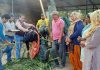 कैटल पाउण्ड फ्लाही को गौशाला के रूप में विकसित करने का प्रयास करेगी नई सोच संस्था: अश्विनी गैंद