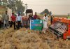 पराली की उचित संभाल में गाँवों की नौजवान सोसायटियों और क्लबों की तरफ से दिया जा रहा अहम योगदान: मुख्य कृषि अधिकारी