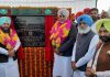 ਪੰਜਾਬ ਸਰਕਾਰ ਨੇ ਕਿਸਾਨਾਂ ਦੇ 8 ਹਜ਼ਾਰ 556 ਕਰੋੜ ਦੇ ਕਰਜ਼ੇ ਕੀਤੇ ਮੁਆਫ: ਕੈਬਨਿਟ ਮੰਤਰੀ ਨਾਭਾ