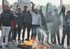 गऊ माता और हिंदू विरोधी केजरीवाल को पंजाब का हिंदू कभी बर्दाश्त नहीं करेगा: शिवसेना नेता