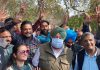 कैप्टन अमरिंदर ने लोकतंत्र का त्यौहार मनाने के लिए लोगों को दी बधाई