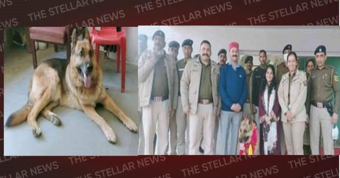 singham retirement