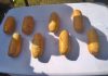 BSF FOILS BID TO SMUGGLE CONTRABAND IN ABOHAR SECTOR