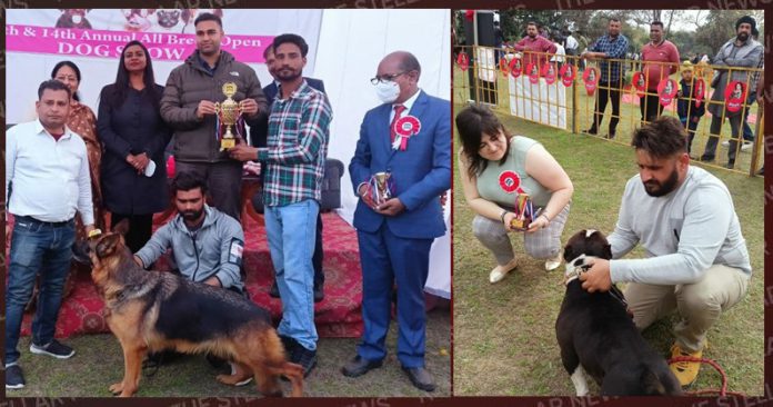 dog show kapurthala