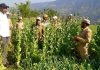 DODA POLICE LAUNCHED SPECIAL DRIVE AGAINST POPPY/OPIUM CULTIVATORS