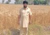 ਦੇਸ਼ ਦੀ ਰੱਖਿਆ ਤੋਂ ਬਾਅਦ ਵਾਤਾਵਰਣ ਦਾ ਰਾਖਾ ਬਣਿਆ ਅਗਾਂਹਵਧੂ ਕਿਸਾਨ ਬਲਕਾਰ ਸਿੰਘ