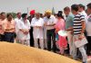 ਕੈਬਨਿਟ ਮੰਤਰੀ ਕਟਾਰੂਚੱਕ ਨੇ ਕਾਨਵਾਂ ਮੰਡੀ ਵਿੱਚ ਕਣਕ ਦੀ ਸਰਕਾਰੀ ਖਰੀਦ ਦੀ ਕੀਤੀ ਸੁਰੂਆਤ