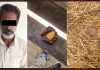 APPREHENSION OF AN INDIAN FARMER WITH SUSPECTED NARCOTICS IN AMRITSAR SECTOR