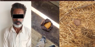 APPREHENSION OF AN INDIAN FARMER WITH SUSPECTED NARCOTICS IN AMRITSAR SECTOR