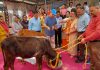 नरेंद्र ठाकुर ने किया गसोता मेले का शुभारंभ