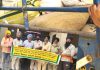आज़ाद किसान कमेटी दोआबा ने 33 बोरियां गेहूं इक्ट्ठी करके श्री गुरू रामदास लंगर सोसायटी को की भेंट