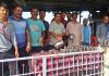 निर्जला एकादशी को बारी मंदिर में लगाई छबील